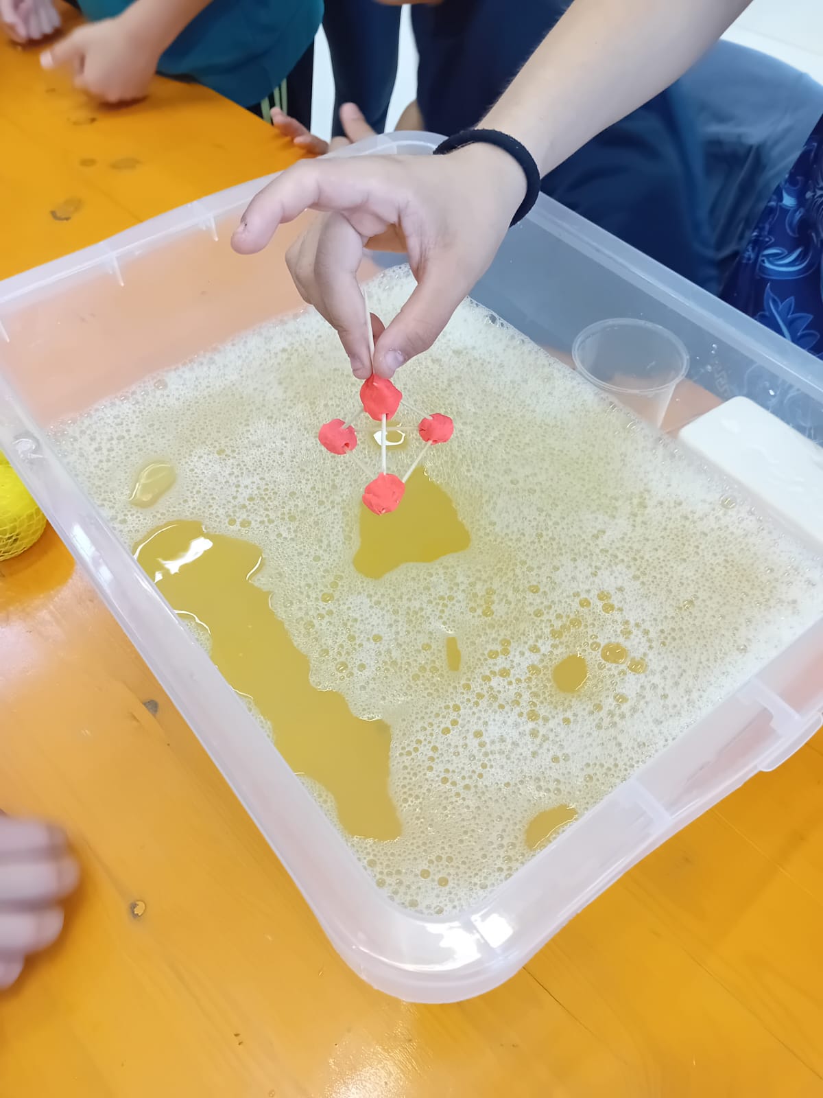 Festival scienza 25