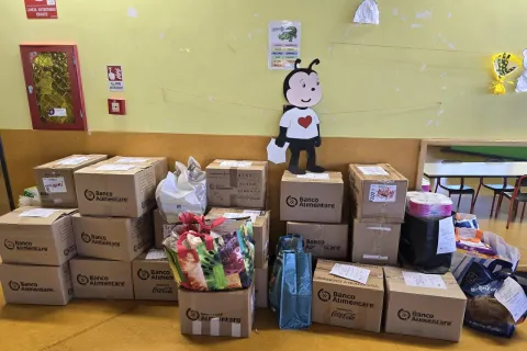 Colletta alimentare king grugliasco